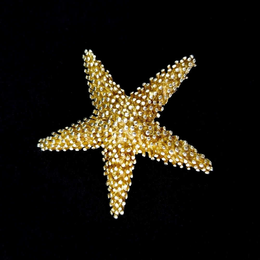Large Textured Tropical Starfish Brooch Pendant